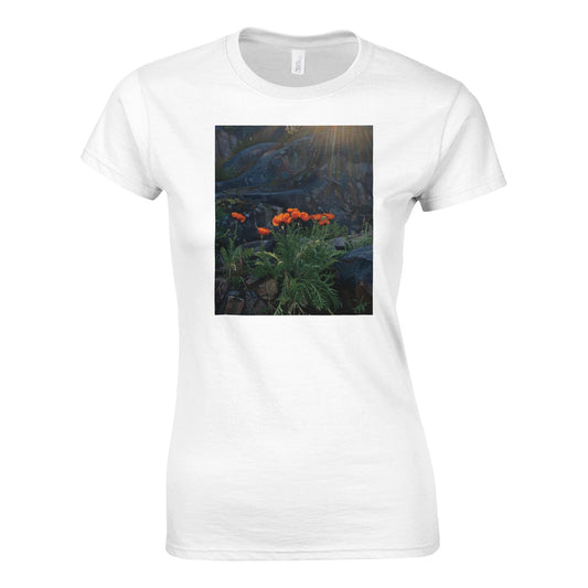 21370253-f547-4993-bd6d-dc83362a875c