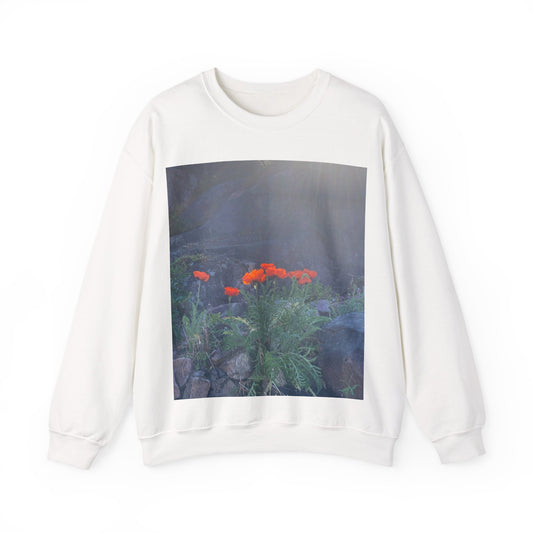 Poppy Landscape Crewneck Sweatshirt