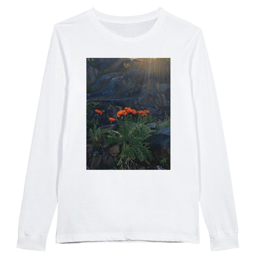 53d09f8f-f970-4d9d-8779-a0ecdcae09c6