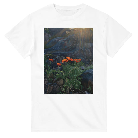 59229069-abd4-46b2-ad7a-1f2551c3665c