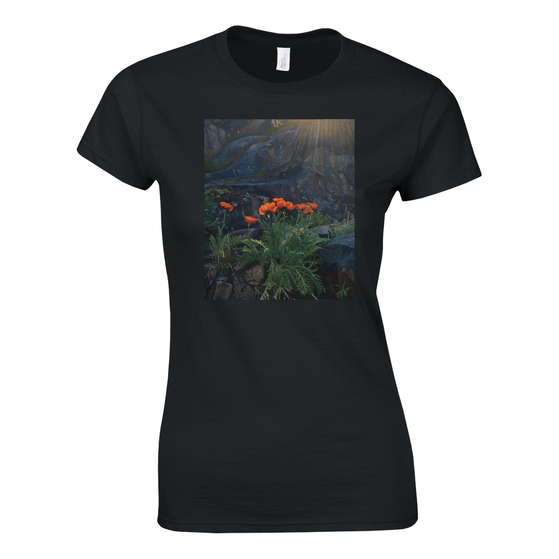 976d79ba-c4bf-477a-84ee-025096c0b9e9