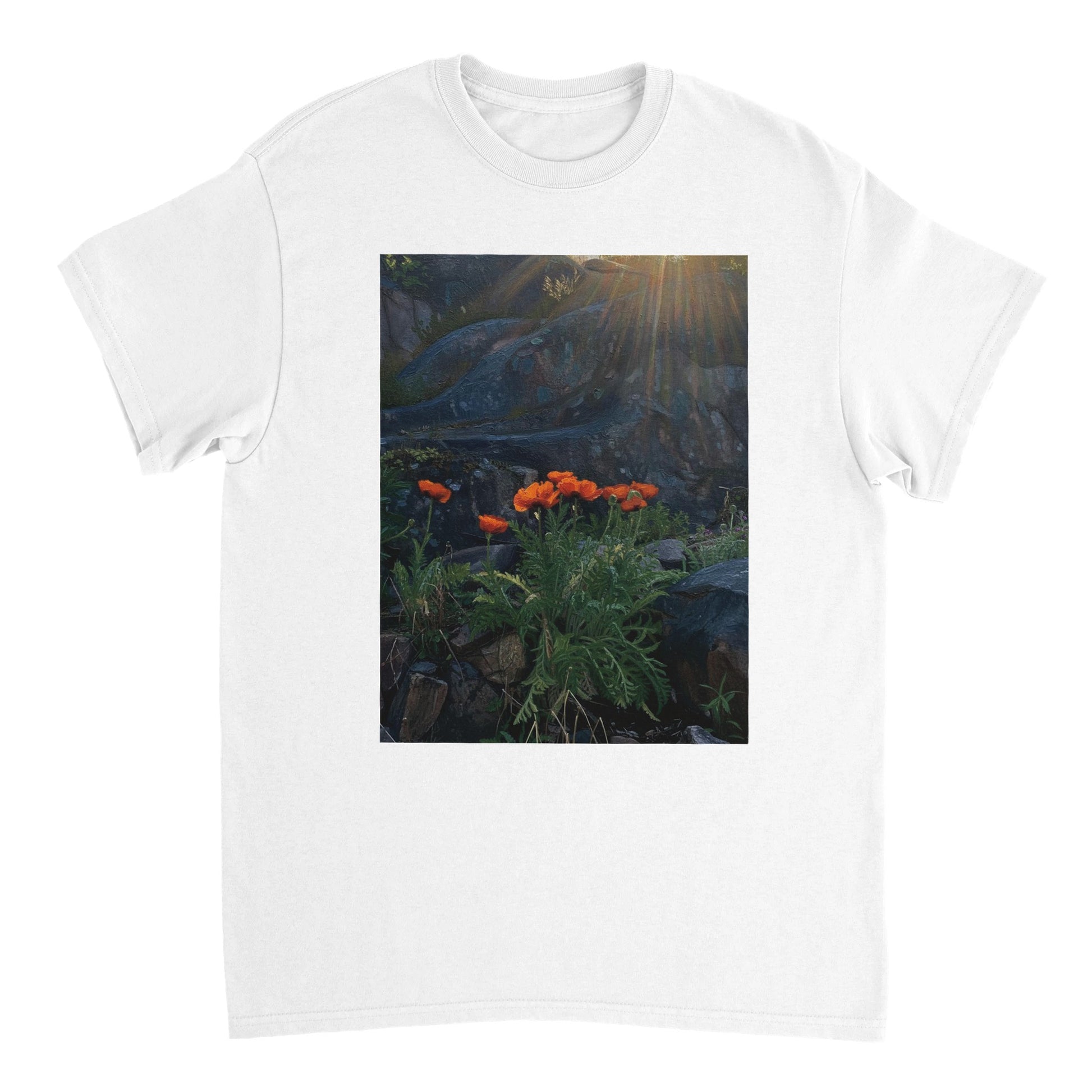 fd06ddc6-1e9e-424a-95c9-b2d815934dc8