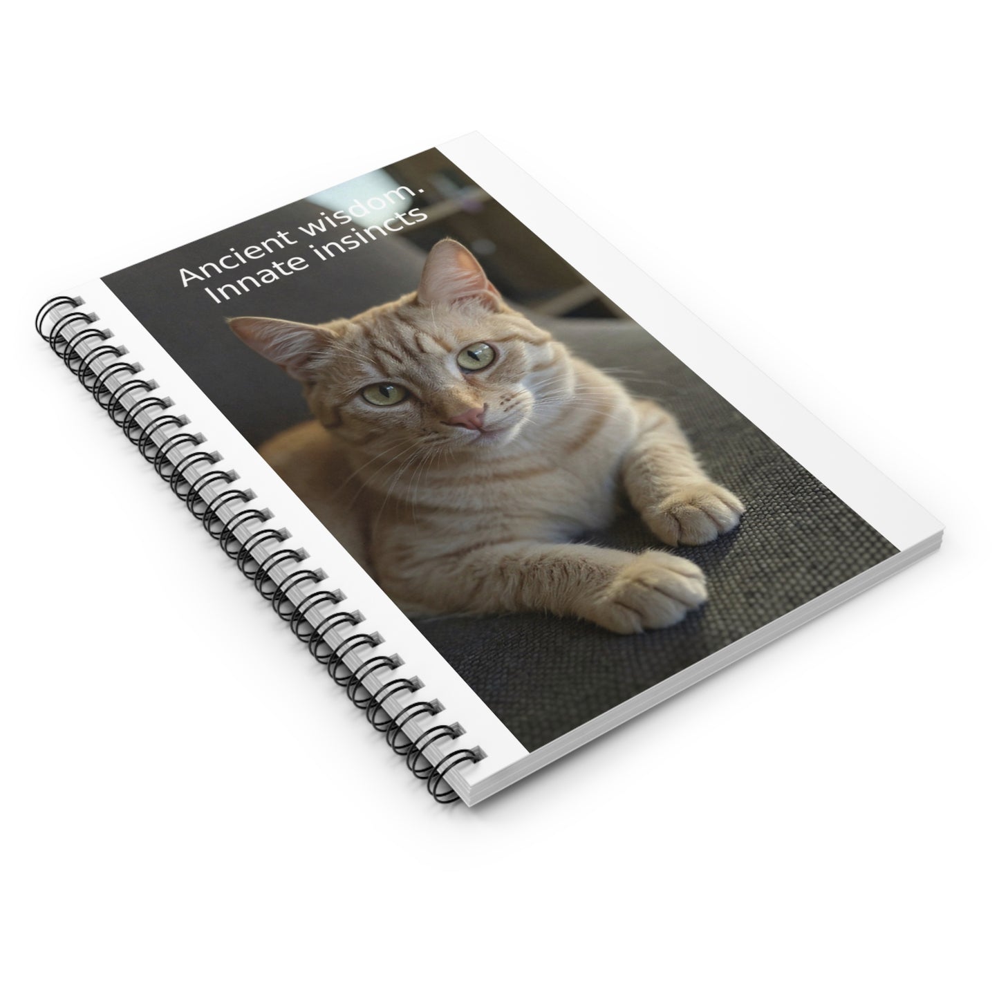 Spiral Notebook - Cat Wisdom Quotes, Cute Cat Journal for Animal Lovers, Gift for Cat Owners, Spiral Diary, Pet-Themed Notebook